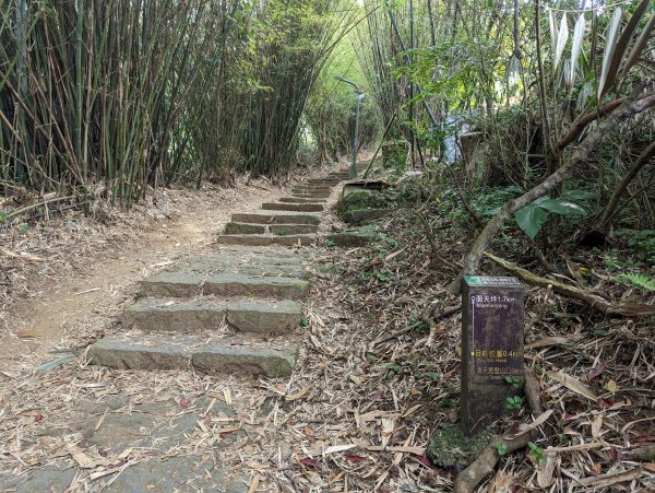 「走遍陽明山尋寶任務」三條路線串聯巡禮2105526