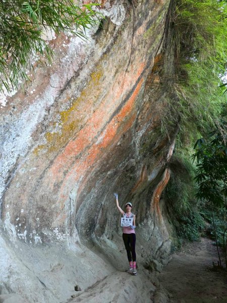 20250913_三峽鳶山爬山趣2882845