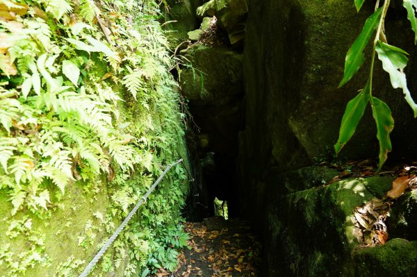 新竹 竹東 上坪山、五指山2541678