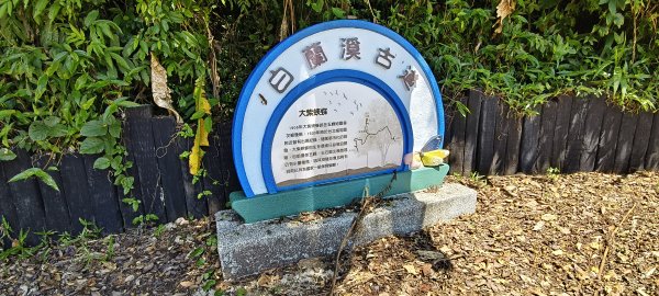 2026/05/31_白蘭溪古道O型3066885