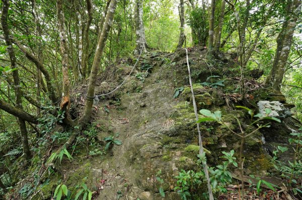 新北 烏來 烏來山、大桶山、四崁水山2829243