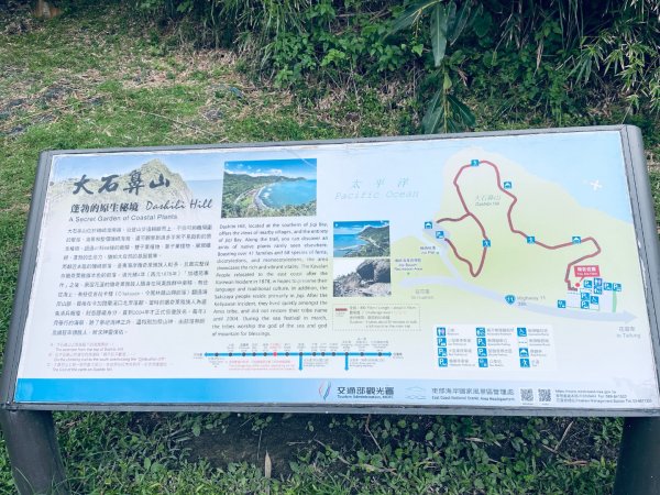 20260821 花蓮大石鼻山步道3111010