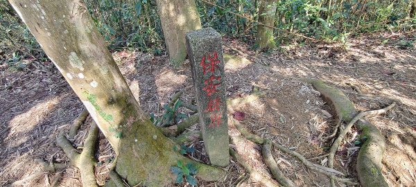 2025/03/01_打牛崎+八寮古道O型2724116