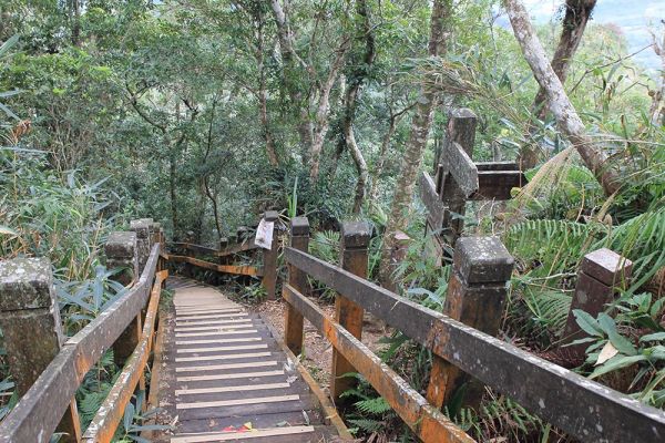 馬那邦山(珠湖線來回)375068