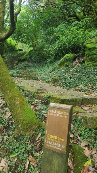 2022-0605 苗冷古道-七星公園-冷水坑-冷擎步道1727656