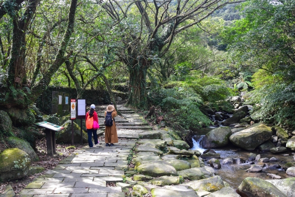 草嶺古道桃源谷 東北角宜蘭遊記《一》40709