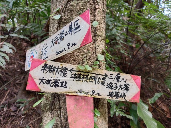基隆市三層山+湳子大崙+淡基橫斷古道+面桶寮土地公2982212