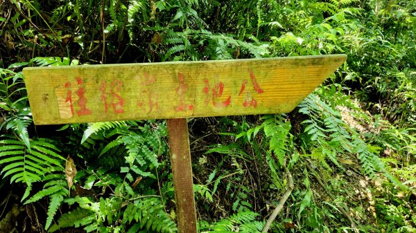 宜蘭石空古道，象寮古道1867126