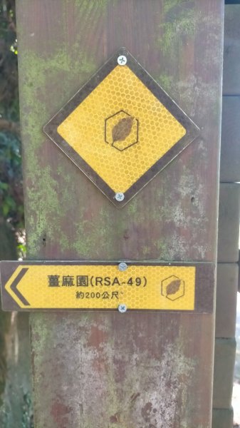 關刀山2658591