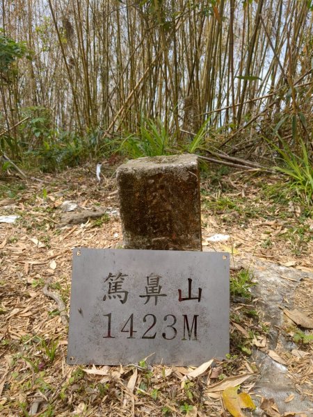 四大天王山縱走獨立山(雙溪路線)2754468