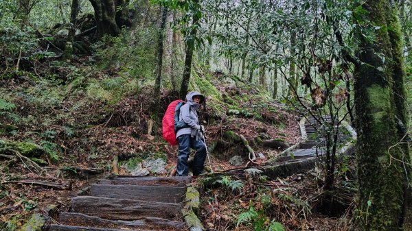 南一段20250101~052684993