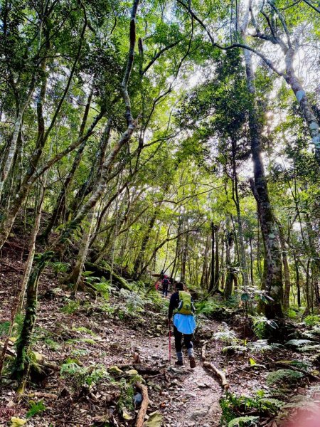 🌈1/11（日）六龜警備道~小百岳~鳴海山×網子山✨FB：熊熊趴爬走🌈2980531