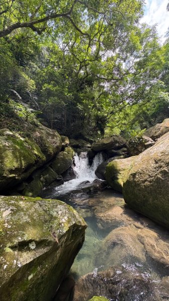 戲水（鴛鴦2786704