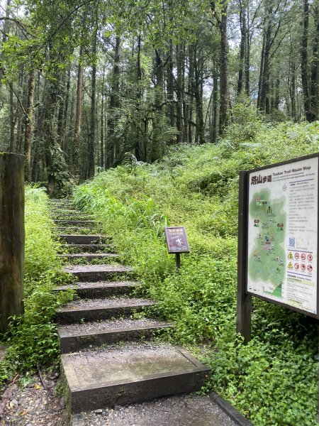阿里山水山療癒步道3064218