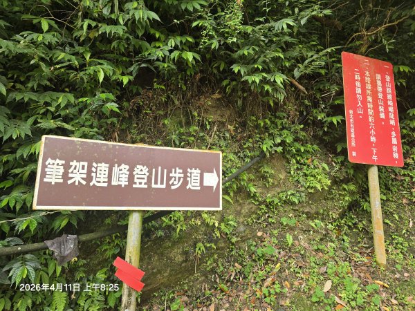2026-04-11微笑山線：【二格山系】筆架連峰段3034542