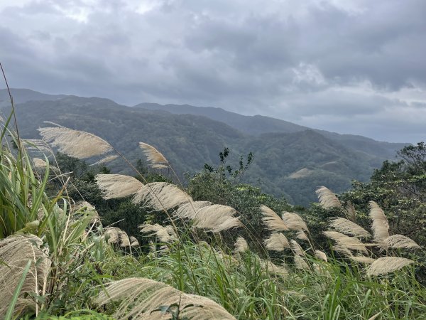 坪林烏窟子山2685884