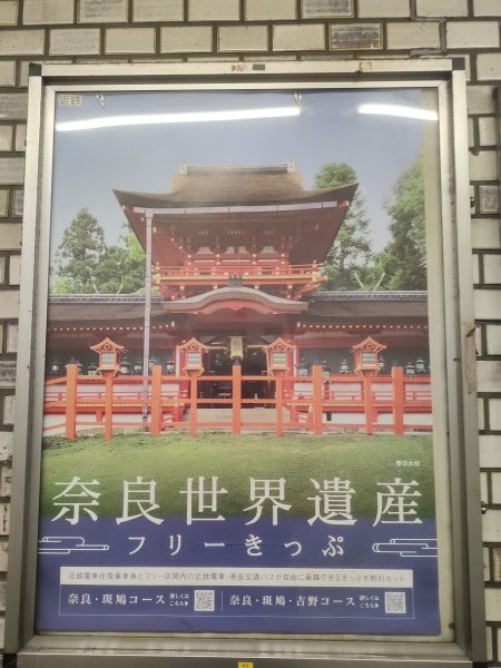 奈良公園&春日大社&東大寺2454233