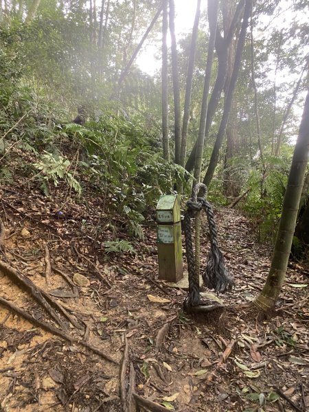 水社大山3060329