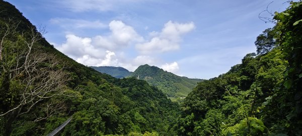 2026/07/05 小烏來天空步道群3085045