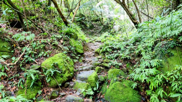 暖東峽谷大環小環2834400