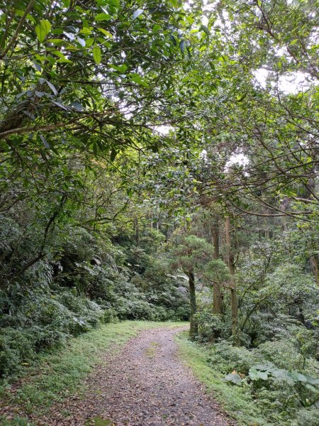 坪溪古道－穿著涼鞋玩水趣954826