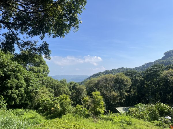 [皮皮獅Hike客任務-07/10] 2024_0831 大山背麒麟步道2586105