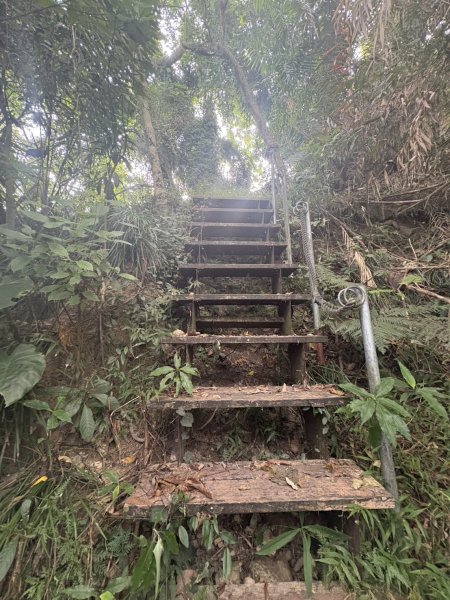 20251101烏山縱走北段 雲山寺至刣牛湖山(途經風空子山.孟璋山.烏山.刣牛湖山北峰)2928762