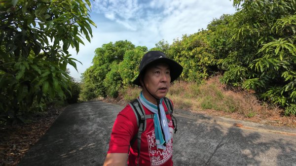 高雄 小崗山2927230