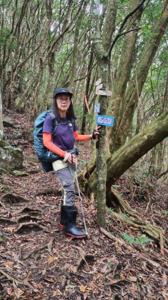 大混李棟重訓2883611