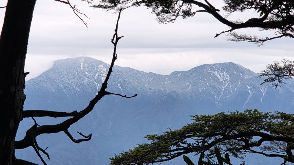 環繞在楓紅巨木和滿山翠綠的鞍馬山及大雪山小神木森林步道的悠哉山行記2996744
