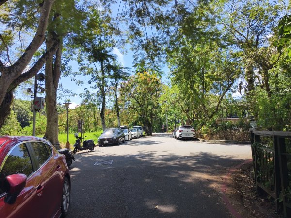 [漫遊縱谷 愛在花東-07/10] 2025_1012 花蓮鯉魚山步道群2913394