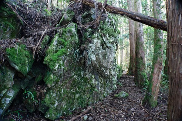 台中 和平 南松鶴山、八仙山、東松鶴山2877948