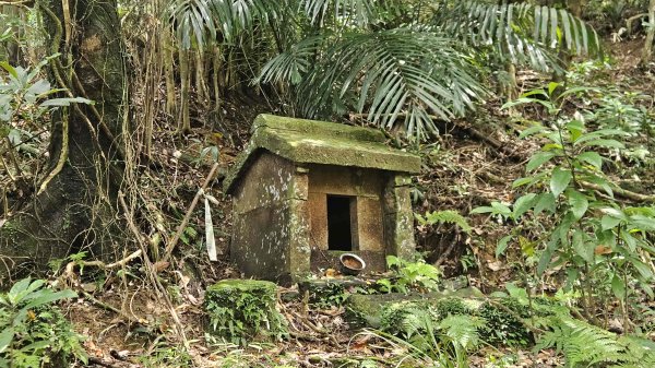 20260324福卯古道北段-萊萊越嶺古道-萊萊山腰古厝群3026837