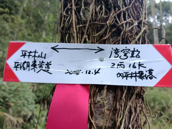 雙溪區彎穹平林山+平湖東步道+紙坑古道(億山煤礦)+紙坑山出平水聚落O型2965789