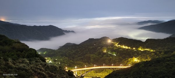 雲山水花鳥蝶-天龍國阿伯的日常 3/29-303026170