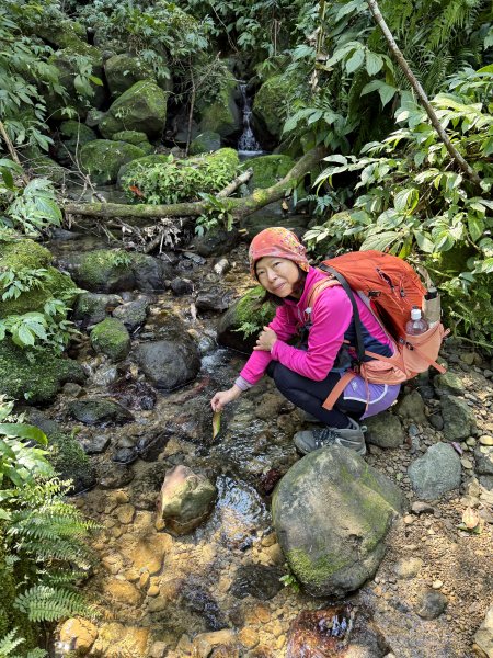 金面山-202503192770615