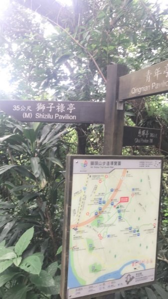 20190608新店獅頭山步道612415