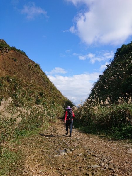 555峰、鋸齒稜、半屏山、金瓜石地質公園、山尖古道大圳橋、黃金博物館O走1229483