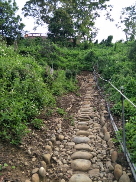 彰化出水坑歩道1440721