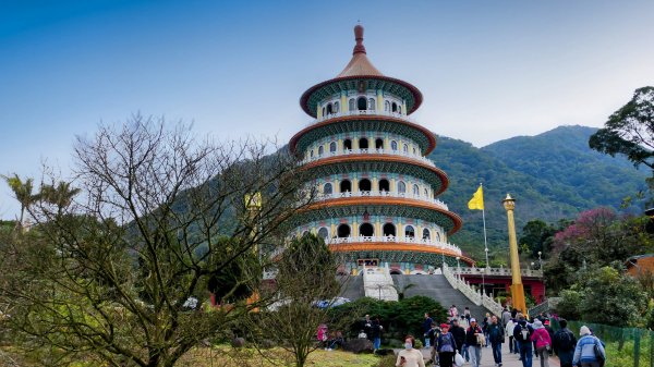 《蝶戀花·天元宮櫻吹雪》2707086