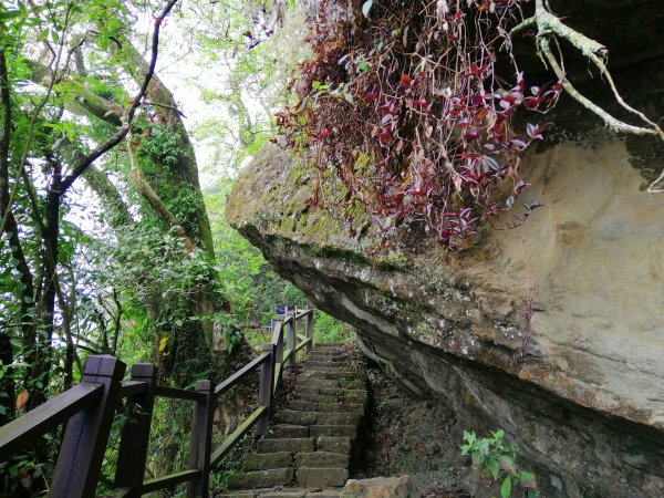 台南東山~山上尋悠。 #65小百岳崁頭山915987