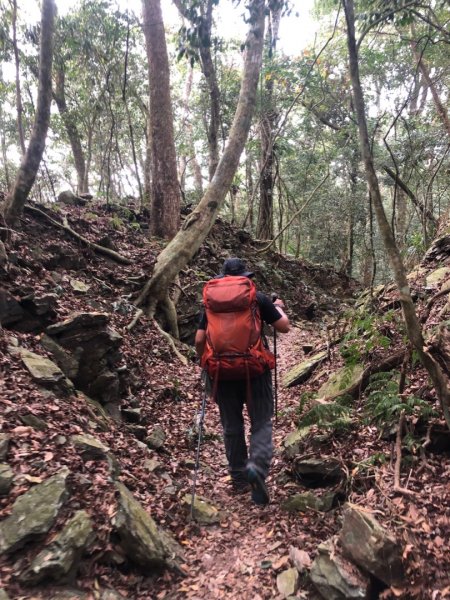 鳴海山、鳴海下山、網子山、網子山東北峰1337157