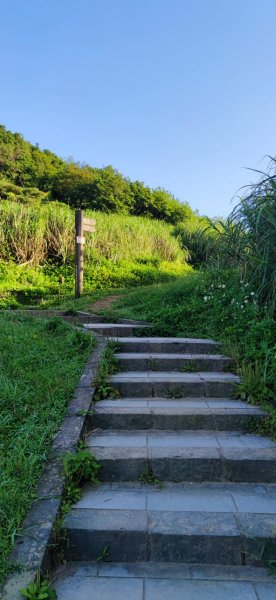 20230527 風櫃嘴-魚路古道-金山2252690