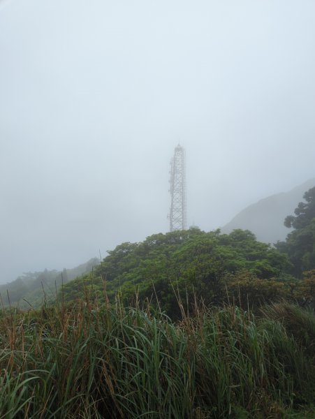 2023.04.22－七星山步道2123973