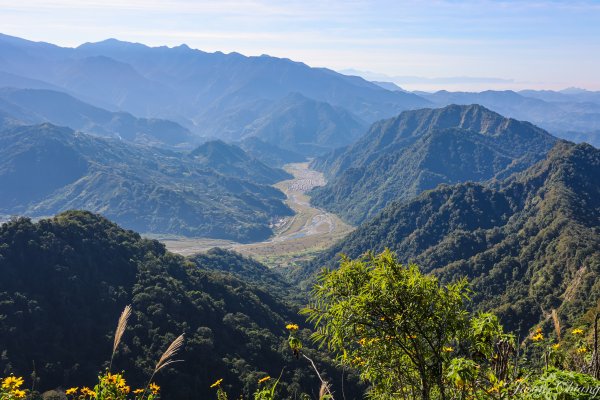 [苗栗]馬那邦山2355158