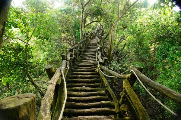 臺中 新社 頭嵙山、黑山、石苓湖山3047656