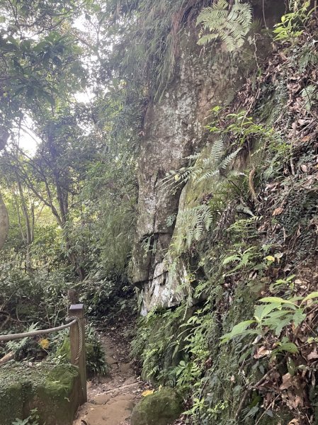 【鳶山山系】鳶山彩壁2858066