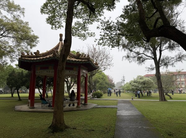 [樟之細路_第一大段RSA03] 2026_0329 石園3027042