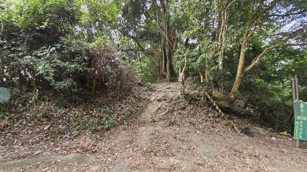 暗影山三進三出2366545