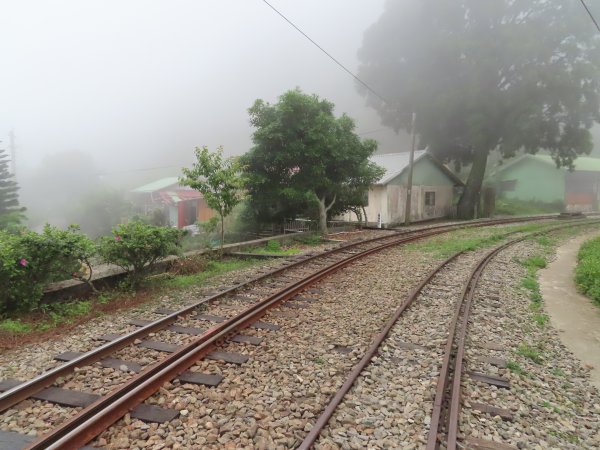 寧靜的小山村:水社寮973324